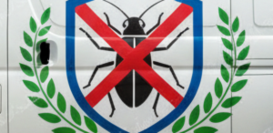 اخبار الخدمات